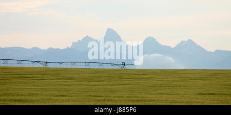 Un bras d'arrosage système d'arrosage d'un champ de céréales dans les champs fertiles de l'Idaho, avec le Teton de montagnes en arrière-plan. Banque D'Images