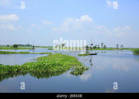 Vue de l'Arial Beel, un grand plan d'eau de 136 kilomètres carrés, situé au sud de Dhaka en Dhaleshwari entre Padma et rivière. Sreenagar, Munshi Banque D'Images