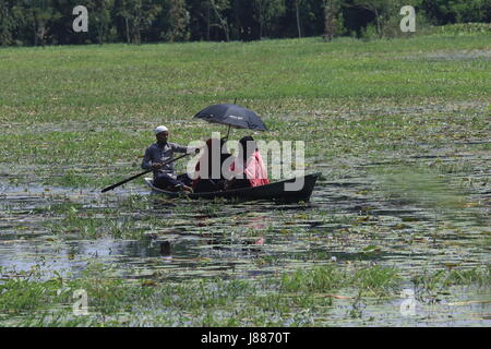 Vue de l'Arial Beel, un grand plan d'eau de 136 kilomètres carrés, situé au sud de Dhaka en Dhaleshwari entre Padma et rivière. Sreenagar, Munshi Banque D'Images