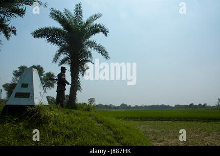 Un soldat ou 'jawan" des Bangladesh Rifles (BDR) en patrouille à la frontière, Darshana Bangladesh-inde de Chuadanga, Bangladesh Banque D'Images