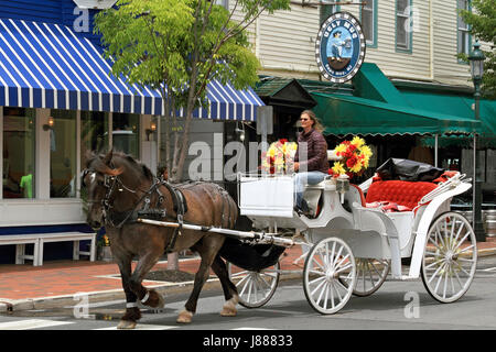 Un transport en offrant à Cape May, New Jersey, USA Banque D'Images
