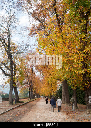 Balade à Lucques wall en automne Banque D'Images