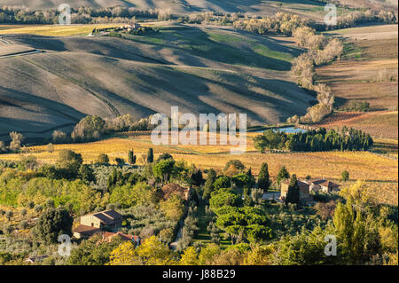 Un paysage idyllique grande vue sur Montepulciano campagne, comme vu de la haut, baigné dans la lumière de soleil d'automne - Italie Banque D'Images