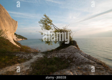 Møns Klint falaises de craie, l'île de Møn, Danemark, Europe Banque D'Images