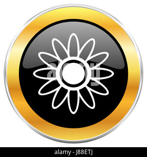 Flower black icône web avec golden border isolé sur fond blanc. Bouton brillant rond. Banque D'Images