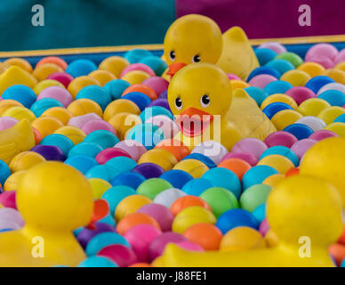 Canard en caoutchouc sur le jeu à mi-chemin d'un county fair. Banque D'Images