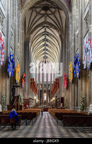 France, Loiret, Orléans, Cathédrale de la Basilique Sainte Croix d'Orléans, la nef Banque D'Images