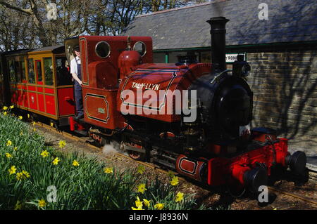 Train à vapeur sur la gare de Talyllyn Railway Rhydronen, Banque D'Images