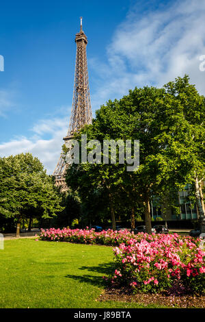 La Tour Eiffel et du Champs de Mars, Paris, France Banque D'Images