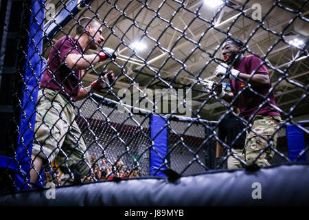 Deux parachutistes avec la 82e Division aéroportée, se préparent à commencer leur match lors de la partie de l'Armée Combatives la semaine All American 100 Combatives/boxe anglaise à Fort Bragg, N.C., 24 mai 2017. Au cours de toutes les semaines, les parachutistes américains 100 de l'ensemble de la Division a participé à la balle molle, le soccer, le flag-football, à la corde, combatives, boxe, une meilleure concurrence et d'une escouade combattre test fitness pour se vanter et qu'un coup de feu à "meilleur bataillon." Toutes américain Semaine est l'occasion pour les parachutistes, anciens et actuels, de se rassembler et de célébrer l'histoire, de patrimoine et de fierté Banque D'Images