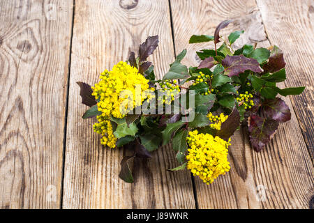 Branche avec feuilles et fleurs jaunes sur fond de bois Banque D'Images