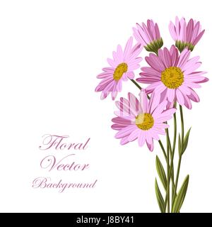 Belle pink daisies Illustration de Vecteur