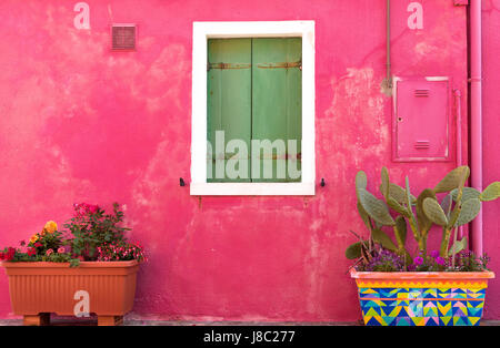 Fenêtre sur fond rose avec des pots de fleurs dans l'île de Burano, italie Banque D'Images