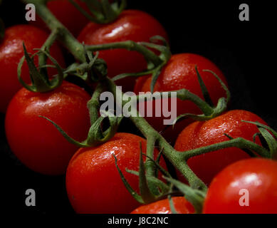 Tomates cerise sur la vigne Banque D'Images