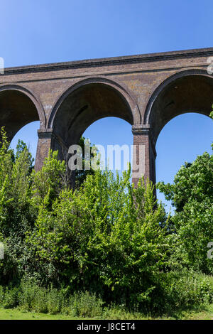 Dans le viaduc CHAPPEL COLNE VALLEY PRÈS DE COLCHESTER Banque D'Images