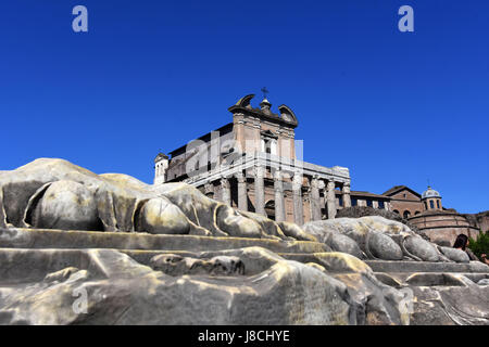 Le Temple d'Antonin et Faustine, dans l'ancien Forum romain, Rome, Italie. Banque D'Images