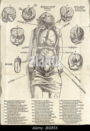 Le Feldbuch Eingeweide de Gersdorffâ€™ est un manuscrit médical du XVIe siècle détaillant les interventions chirurgicales, en particulier pour la chirurgie abdominale. C'est un travail historique important dans l'étude de la médecine moderne précoce. Banque D'Images