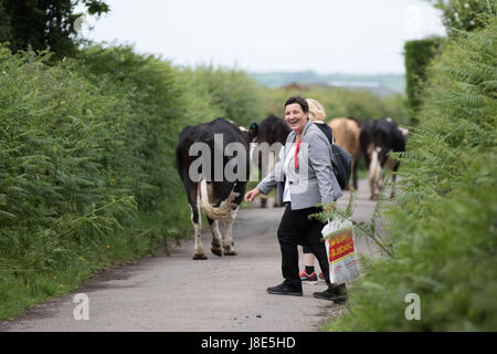 Swansea, Royaume-Uni. 28 mai, 2017. Élection générale de 2017. Candidat du travail pour la recherche de Gower Tonia Antoniazzi vote rural. Gower est le siège marginal le plus conservateur après Byron Davies a gagné par seulement 27 voix en 2015. Travail avait précédemment occupé le siège pendant plus de 100 ans. Credit : Gareth LLewelyn/Alamy Live News Banque D'Images