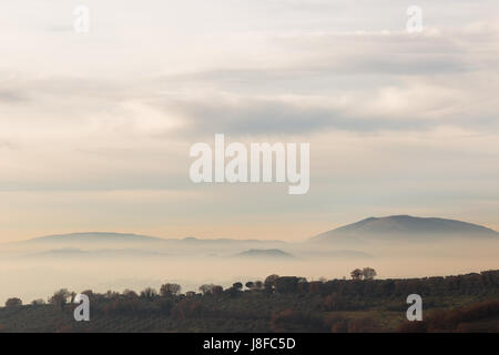 Une vue de quelques arbres sur un fond de brouillard et les montagnes au loin Banque D'Images