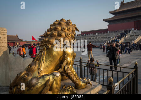 Lion doré en face de la porte de la pureté céleste, palais impérial chinois, Beijing, Chine Banque D'Images