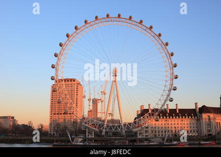 La grande roue London Eye à la lumière du soleil d'Or Banque D'Images