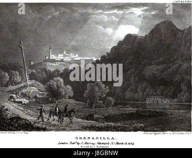 Grenadilla est un bois dense et durable, généralement issu de l'arbre grenadilla. Il est connu pour sa riche couleur noire et est souvent utilisé dans les bois fins et la fabrication de meubles. Banque D'Images