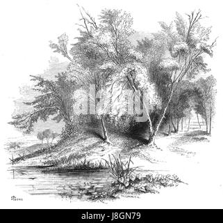 'Forest Hymn' est une œuvre littéraire ou musicale, la référence à la page 27b indiquant probablement une section spécifique du texte. Il célèbre le monde naturel, en se concentrant éventuellement sur les sons et les images des forêts dans un format poétique ou musical. Banque D'Images