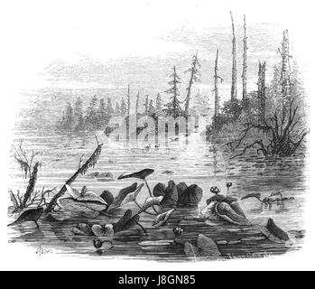 'Forest Hymn' à la page 39b capture la révérence et la connexion spirituelle des humains avec la nature, peut-être une œuvre poétique ou une partie d'une collection axée sur la beauté naturelle et la spiritualité. Banque D'Images