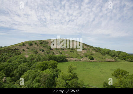 Vue d'une colline verte sur l'île de Purbeck dans le Dorset. Banque D'Images