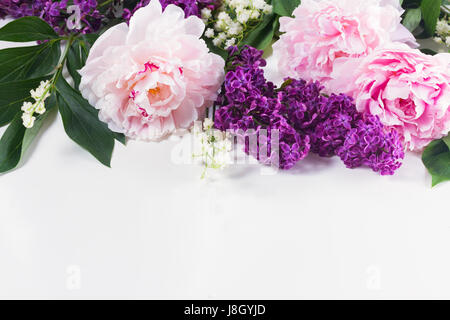 Frontières Floral de fleurs fraîches - lilas, pivoines et lilly du Pr. fleurs sur fond blanc Banque D'Images