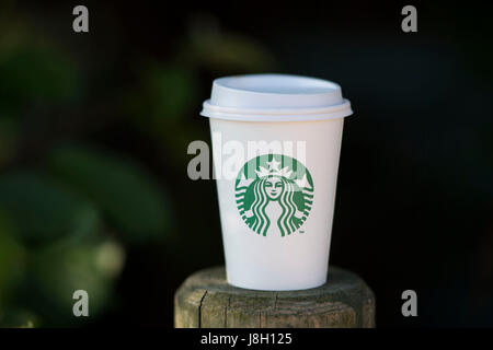 Une tasse de café Starbucks à emporter vu sur un fond vert n'est pas mise au point. Banque D'Images