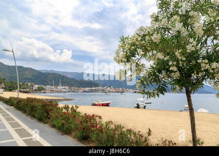 Oleander arbres sur la plage de Marmaris avec vue sur le centre-ville Banque D'Images