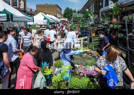 London's popular Columbia Road Flower Market dans l'Est de Londres sur un dimanche matin ensoleillé Banque D'Images