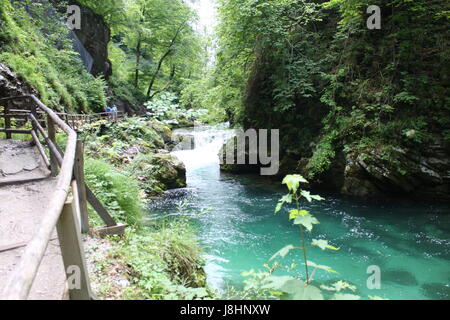 Radovna rivière qui coule à travers les gorges de Vintgar Blejski en hiver, Slovénie Banque D'Images