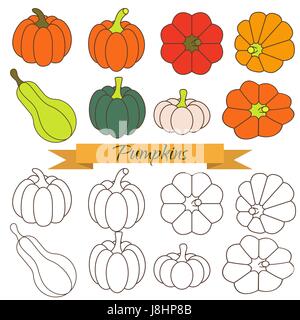 Ensemble de légumes potiron vector clip art. citrouille orange et vert couleur de la ligne d'icônes et d'exposer des objets. Illustration de Vecteur