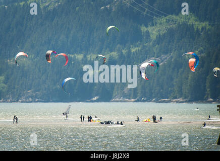 Kite pensionnaires sont sur un banc de sable près de Squamish Terminals. Un très exposés à marée basse le normalement submergées de sable. Samedi 27 Mai, 2017. Phot Banque D'Images