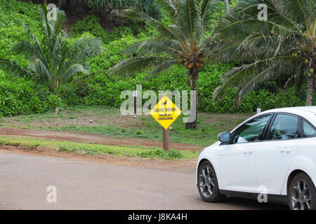 Voiture approchant du panneau « Low Down » Wildlife Crossing Banque D'Images