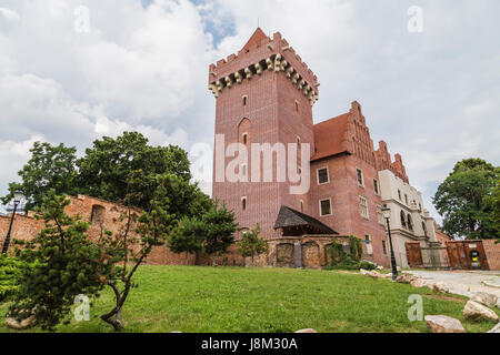 Château Royal de Poznan. Pologne Banque D'Images