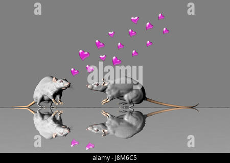 Souris, Souris, coeurs, l'amour, dans l'amour, est tombé en amour, coeur, gris, gris, rose, Banque D'Images