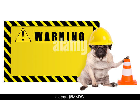 Le PUG dog jaune avec casque de sécurité et travailleur constructeur vide avertissement, isolé sur fond blanc Banque D'Images