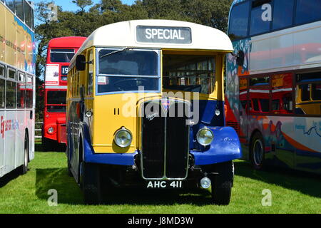 AHC411, 1950 AEC Regal Corporation Eastbourne III 6821A avec East Lancs DP30R corps flotte, numéro 11, 25e édition de la classique rallye bus, l'Ovale Hastings Banque D'Images