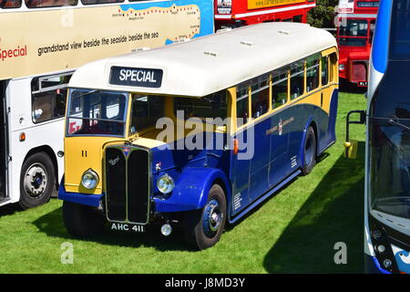 AHC411, 1950 AEC Regal Corporation Eastbourne III 6821A avec East Lancs DP30R corps flotte, numéro 11, 25e édition de la classique rallye bus, l'Ovale Hastings Banque D'Images