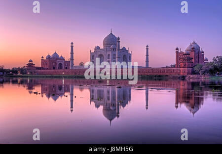 Taj Mahal, Agra, Uttar Pradesh, Inde. Banque D'Images