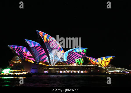 Sydney, Australie. 27 mai 2017. Vivid Sydney se tiendra du 26 mai au 17 juin. Sur la photo : l'Opéra de Sydney. Crédit : Richard Milnes/Alamy Live News Banque D'Images