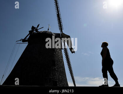 Dpatop - une femme se profile avec le moulin à vent, construit en 1810, à la forêt de Straupitz Spree, Allemagne, 29 mai 2017. Plus de 1 100 moulins autour de l'Allemagne sont en raison de prendre part à la 24e Deutscher Muehlentag (lit. Les usines allemandes jour) le 5 juin 2017. Photo : Patrick Pleul/dpa-Zentralbild/ZB Banque D'Images