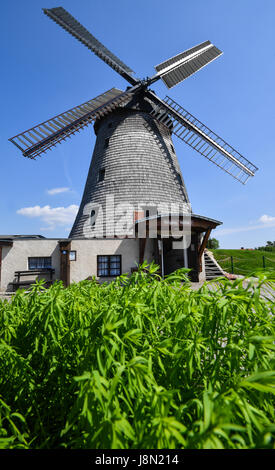 Le moulin à vent, construit en 1810, à la forêt de Straupitz Spree, Allemagne, 29 mai 2017. Plus de 1 100 moulins autour de l'Allemagne sont en raison de prendre part à la 24e Deutscher Muehlentag (lit. Les usines allemandes jour) le 5 juin 2017. Photo : Patrick Pleul/dpa-Zentralbild/ZB Banque D'Images