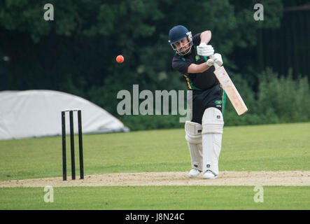 Brentwood, Essex, 29h Mai 2017. T20 Cricket Brentwood Buccaneers vs Harold Wood à l'ancien comté Sol, Brentwood, l'établissement Brentwood a gagné par 10 bureaux de crédit : Ian Davidson/Alamy Live News Banque D'Images