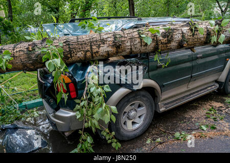 Moscou, Russie. 29 mai, 2017. Lendemain de tempête à Moscou, Russie Crédit : Alexei Fateev/Alamy Live News Banque D'Images