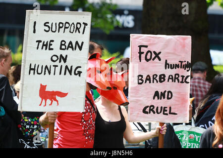 Londres, Royaume-Uni. 29 mai, 2017. Les manifestants avec des pancartes soutenant l'interdiction de la chasse. Les manifestants qui protestent contre la suppression de l'interdiction de la chasse au renard à une protestation maintenue l'interdiction à partir de Cavendish Square, Londres, le 29 mai 2017. Crédit : Paul Marriott/Alamy Live News Banque D'Images