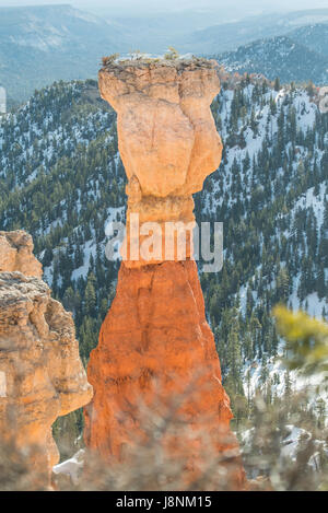 Agua Canyon Overlook sur Grand Bryce dans Hoodoo Banque D'Images